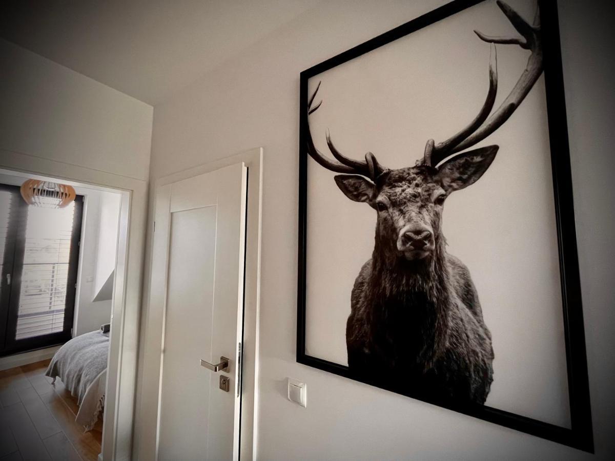 Lazy Deer - * Jelenia Góra